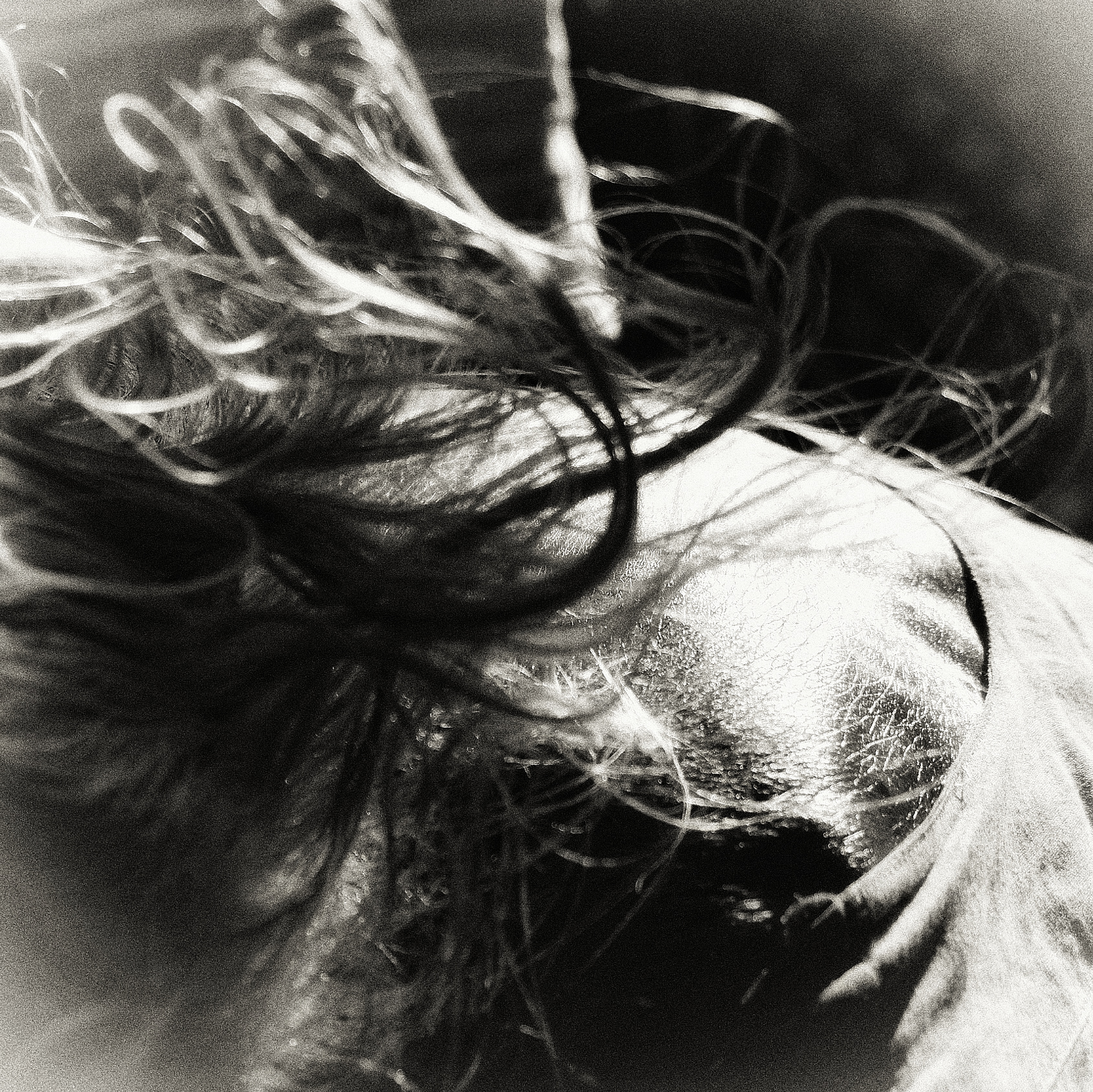 One Thousand Poets visual